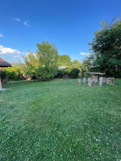 Casa Darul Bunicii Holiday home Breaza (Prahova)